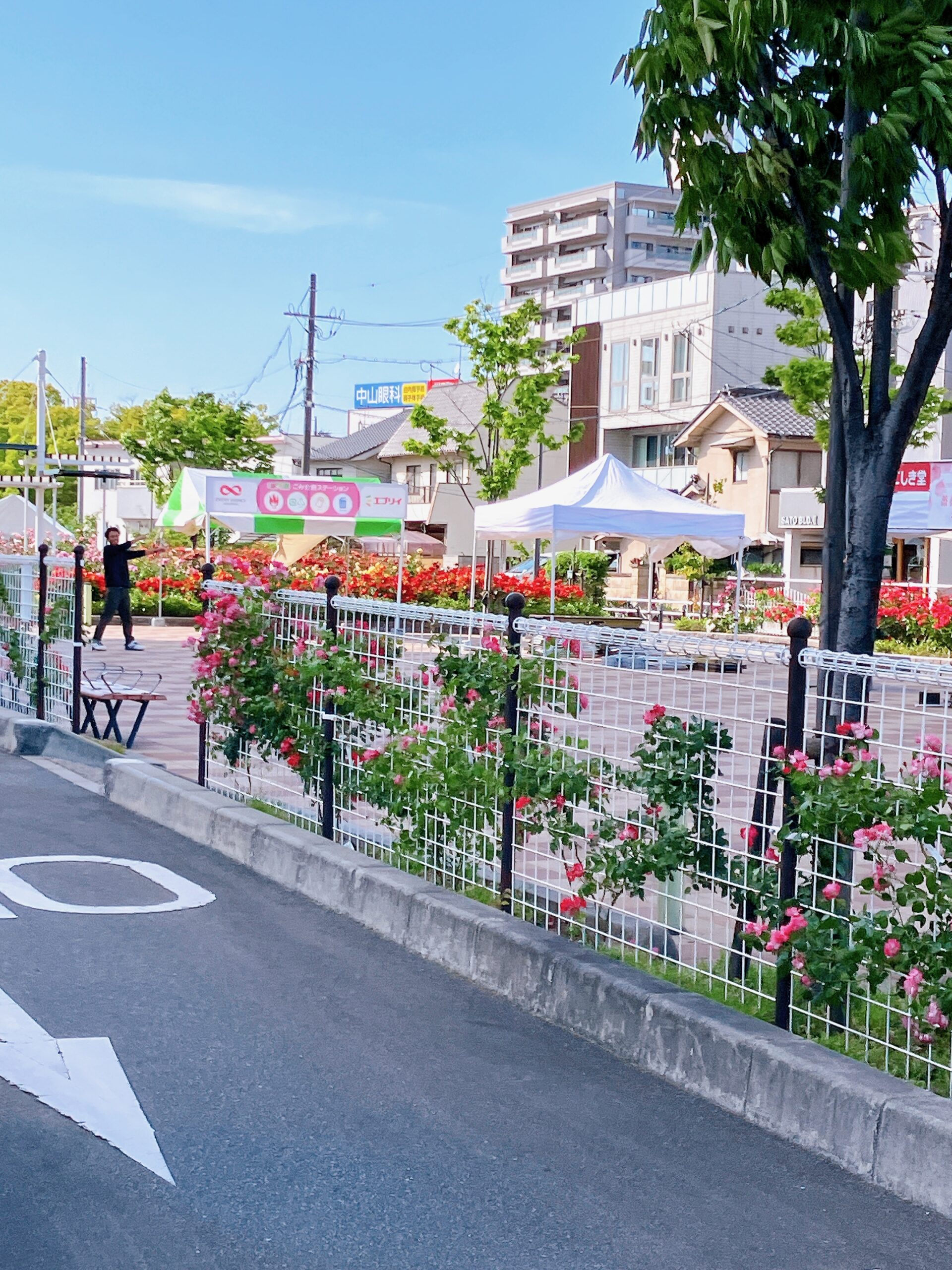 花園公園のこちらの場所に☺